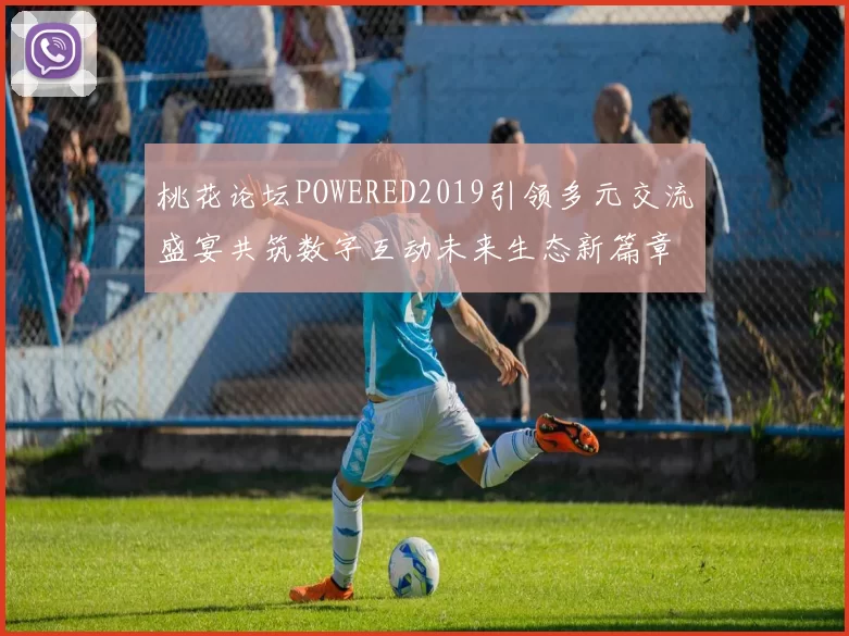 桃花论坛POWERED2019引领多元交流盛宴共筑数字互动未来生态新篇章绽放势能再创