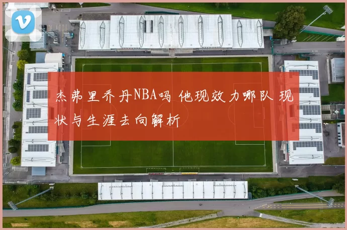 杰弗里乔丹NBA吗 他现效力哪队 现状与生涯去向解析